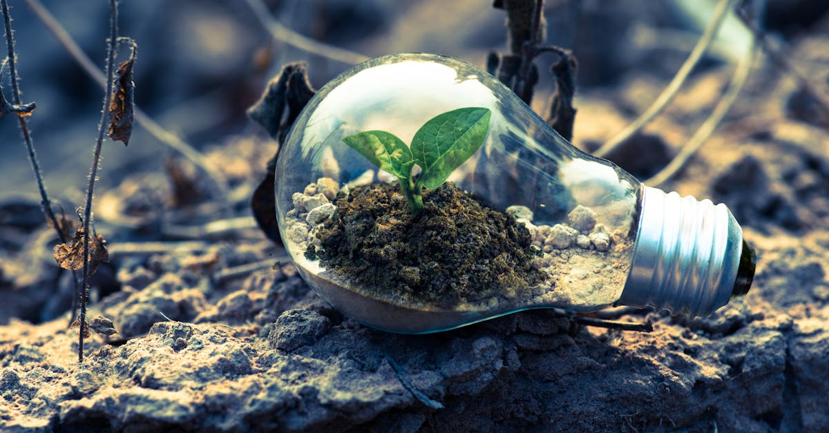 découvrez l'énergie renouvelable, une solution écologique et durable pour répondre à nos besoins énergétiques tout en préservant notre planète. explorez les différentes sources comme l'énergie solaire, éolienne et hydraulique, et engagez-vous dans la transition énergétique.