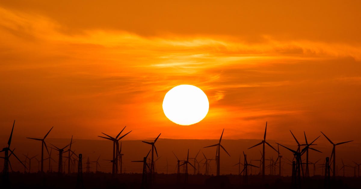 découvrez l'énergie renouvelable, une solution durable pour un avenir écologique. apprenez comment les sources d'énergie propres comme le solaire, l'éolien et l'hydroélectrique contribuent à réduire les émissions de carbone et à préserver notre planète.