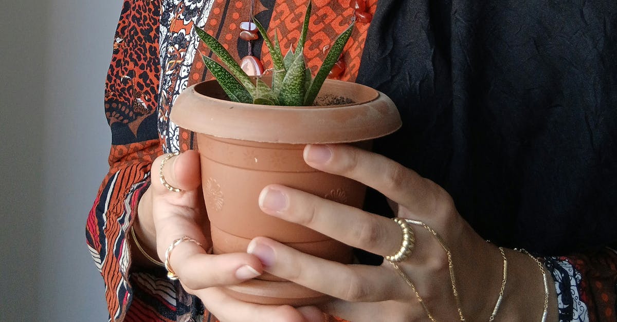 découvrez notre collection de robes en terracotta, alliant élégance et confort. parfaites pour toutes les occasions, ces robes apportent une touche chaleureuse à votre garde-robe. faites tourner les têtes avec des styles uniques et des tissus de qualité.