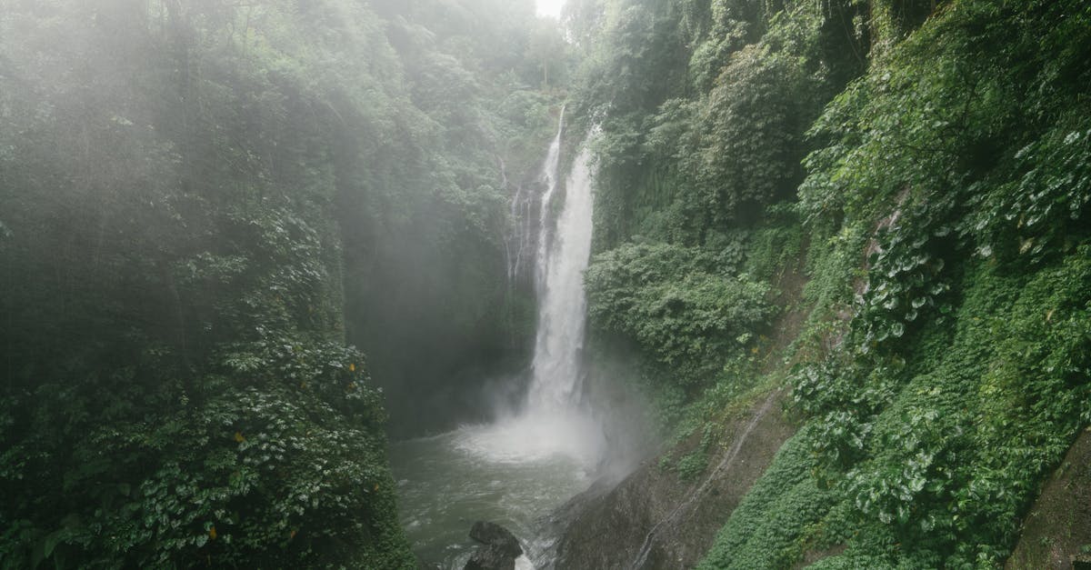 découvrez notre guide de voyage complet sur bali : astuces, lieux incontournables, conseils pratiques et bons plans pour réussir votre séjour sur l’île des dieux.