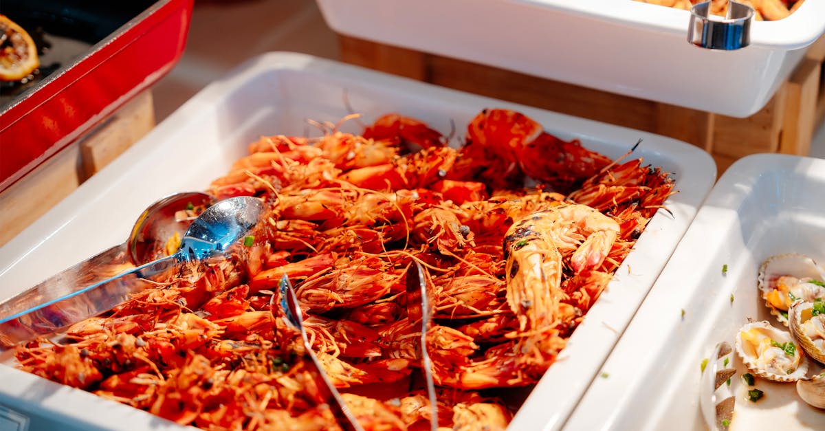 découvrez l'art de la gastronomie : traditions culinaires, recettes raffinées et astuces pour éveiller vos papilles. plongez dans un univers où saveurs et créativité se rencontrent.