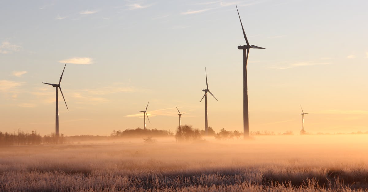 découvrez l'importance de la durabilité, ses principes clés et des conseils pratiques pour adopter un mode de vie plus respectueux de l'environnement. informez-vous sur les enjeux écologiques et les actions pour un avenir durable.