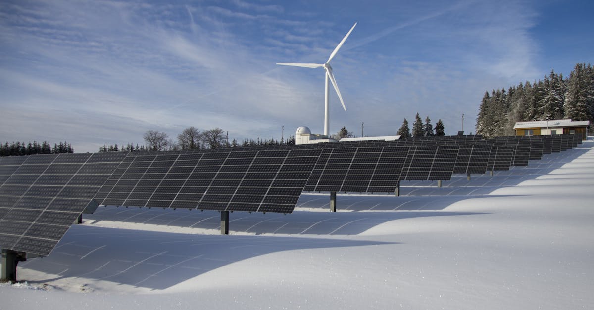 découvrez comment adopter des pratiques durables pour préserver l'environnement, soutenir l'économie locale et améliorer la qualité de vie grâce à des conseils et solutions concrètes pour une vie plus responsable.